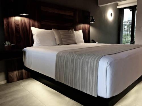 2 Amazing Suite King Rooms in Exclusive Boutique Hotel in San José del Cabo, Mexico