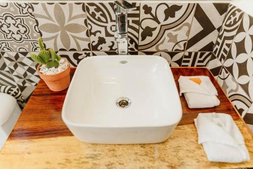 2 Amazing Suite King Rooms in Exclusive Boutique Hotel in San José del Cabo, Mexico