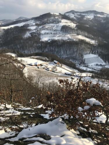. Etno Domacinstvo Mitrovic