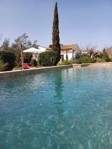 Kolam renang, Casa del Riu in El Albir