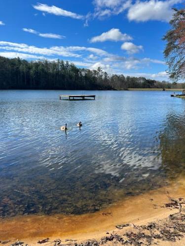 Boo Boo's Cabin - Lake Front!