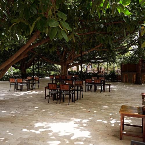 Cirali Hotel - image 3