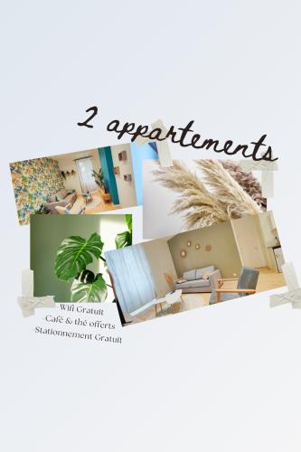 Appartements à thème - Apartment - Clermont-Ferrand