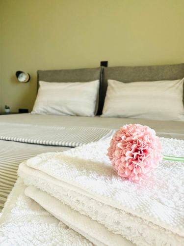 Cosy apartment with Great Views Cosy apartment with Great Views