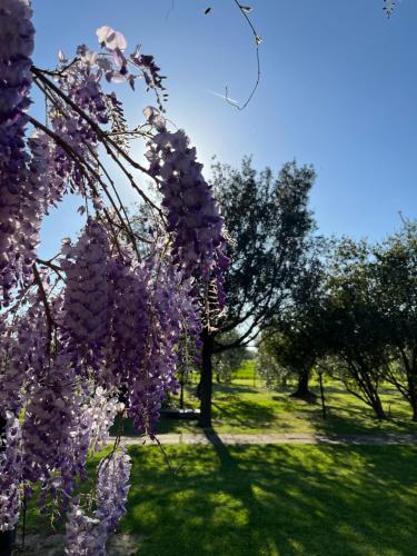 Agriturismo Valdo - image 7