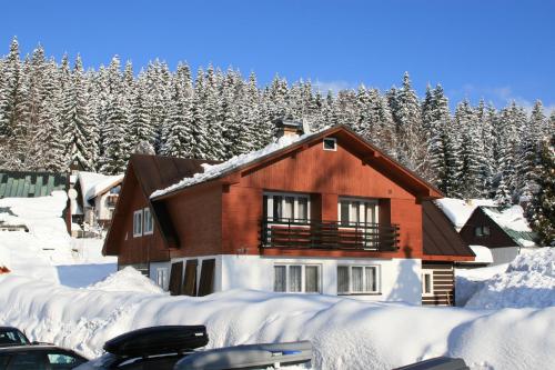 Pension & Chalet Schäfer - image 14
