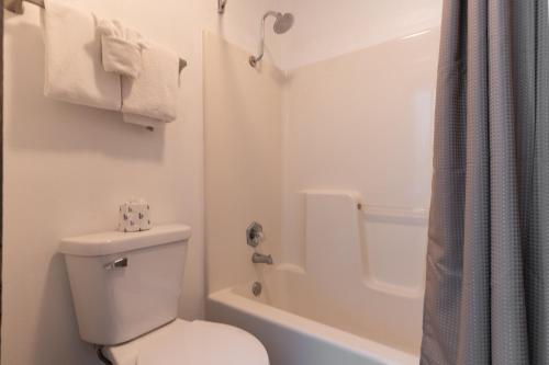 Walk-In - Free Ticket and Shuttle to SDC - Outdoor Pool - WW217 in Branson, USA