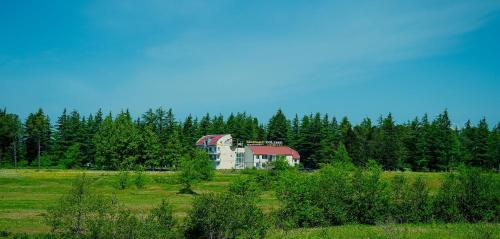 Hotel Tsiskari