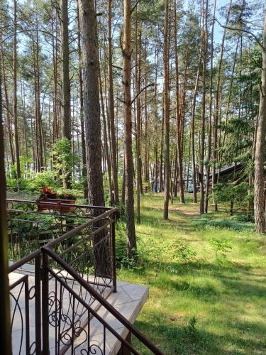 Apkārtne, Domek w Ocyplu-Ocypelski Śpik ,Bory Tucholskie (Domek w Ocyplu-Ocypelski Spik ,Bory Tucholskie) in Ocypel