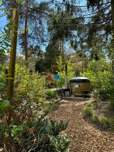 Tiny House met Hottub op de Veluwe