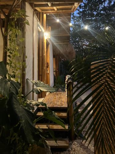 Garden, Dream Surf House Santa Teresa (Playa Hermosa) in Santa Teresa