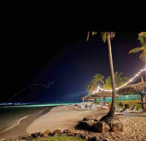 A Hidden Gem in the Caribbean Paradise