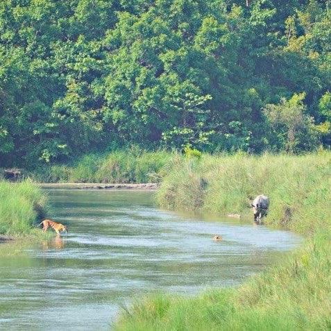 Jungle Base Camp in Thakudwara