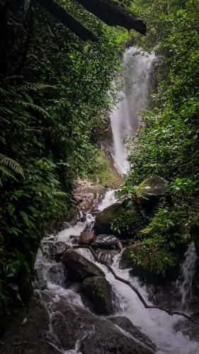 Curigua Ecolodge-Sendero Cascada la milagrosa Buga