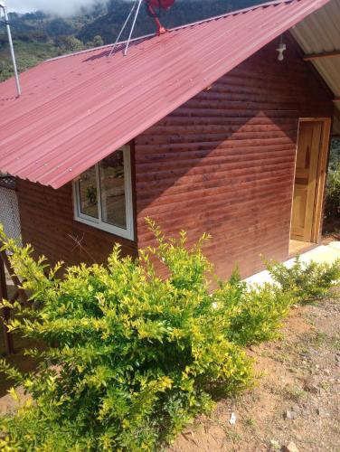 . Mario's Lodge Providencia