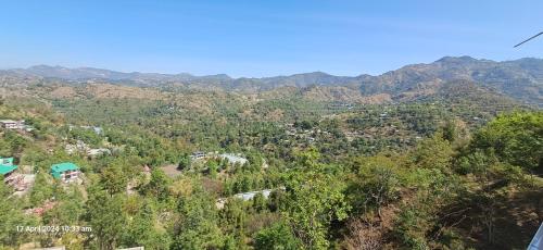 Surrounding environment, Jamunas B&B in Shimla Rural