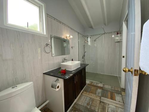 سكن ستيفنا سكن ستيفنا