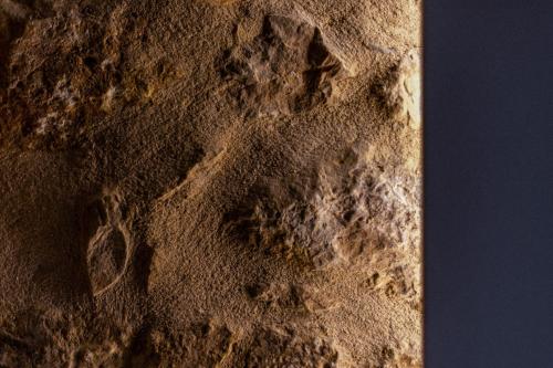 Hawk Tower Apartment - Pyrgos Towers Complex Hawk Tower Apartment - Pyrgos Towers Complex