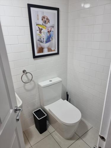 Entire Ground Floor Flat Free Parking and Garden