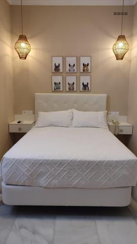 Single Room image 2