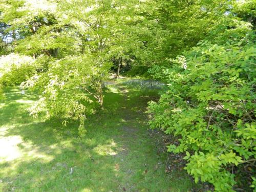 River Cottage a country retreat in wooded gardens