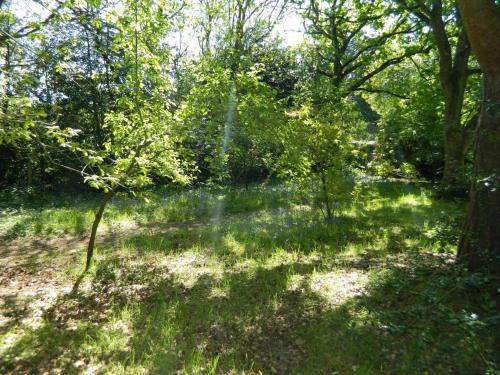 River Cottage a country retreat in wooded gardens