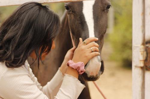 Farm Aavjo - A Conscious Stay