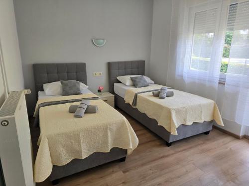 Two-Bedroom Apartment image 7