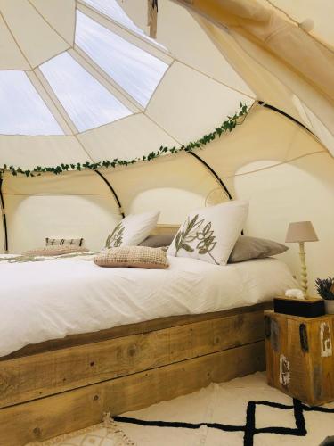 Glamping -Logie Moonlight