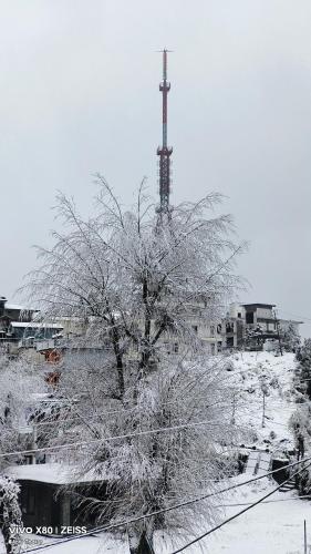 Abhi house Naddi - image 4