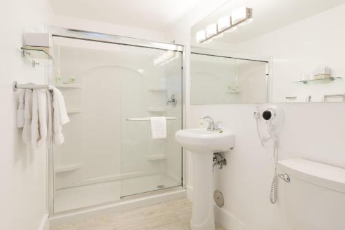 Deluxe King Room image 1