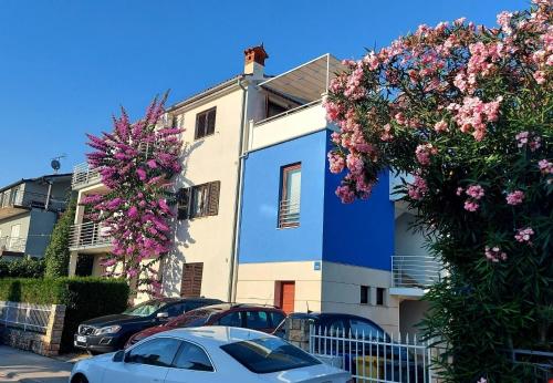 Große Wohnung in Pješčana Uvala mit Eigenem Balkon (Große Wohnung in Pjescana Uvala mit Eigenem Balkon) in Pješčana Uvala