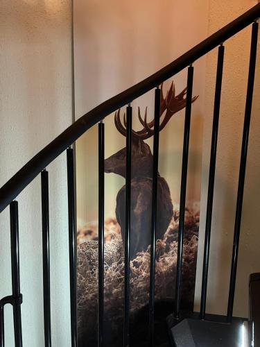 Urige idyllische Hütte mit Sauna (Urige idyllische Hutte mit Sauna) in 格萊內特