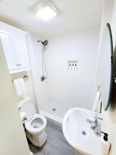 European Influences in the Heart of Charleston European Influences in the Heart of Charleston