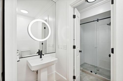 Downtown 3 Bedroom with Tons of Natural Light Downtown 3 Bedroom with Tons of Natural Light