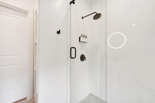 Downtown 3 Bedroom with Tons of Natural Light Downtown 3 Bedroom with Tons of Natural Light