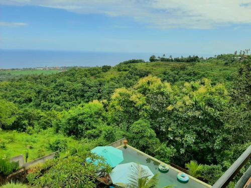 Private Villa's - 4 BRs - Ocean, Valley view