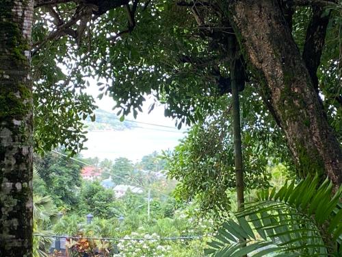 سكن ستيفنا سكن ستيفنا