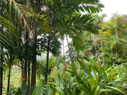 سكن ستيفنا سكن ستيفنا