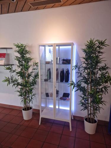 Hotel Alpha Thun - image 10