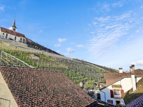 Apartment Winzerhaus by Interhome