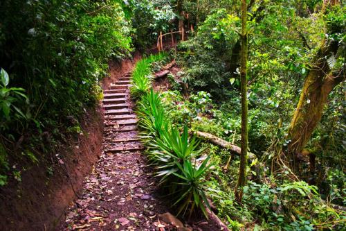 Cabañas Emerald Forest