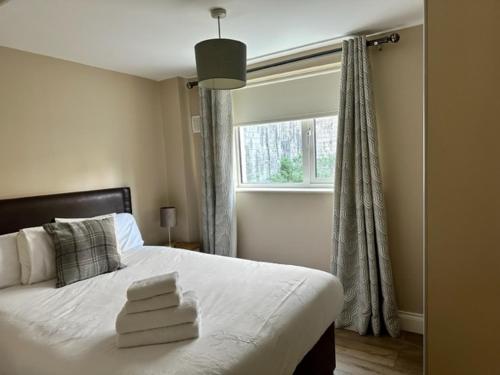 Deluxe Apartment image 3