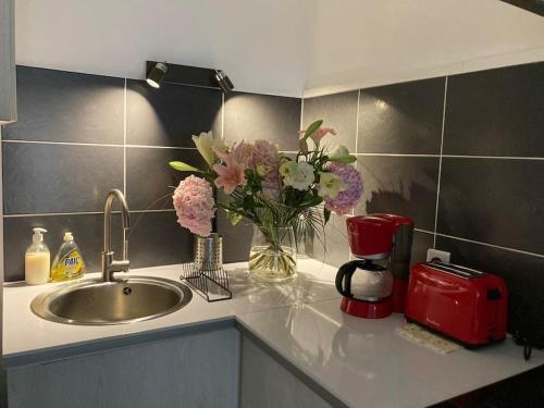 Konyha, Le Pélican Villardois - 2 chambres - centre (Le Pelican Villardois - 2 chambres - centre) in Villars-les-Dombes