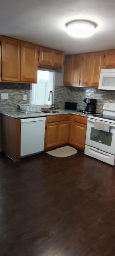 Picon Homey in Springfield, USA