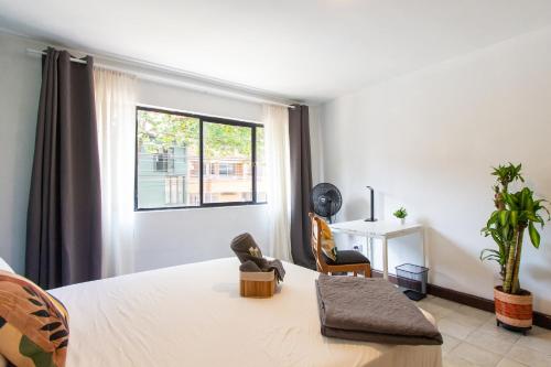 CoNomad House - Coliving & Coworking, Medellín (photo 8)