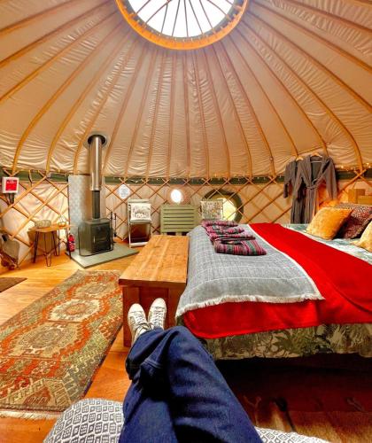 Stamford Meadows Glamping with Private Hot Tubs 3