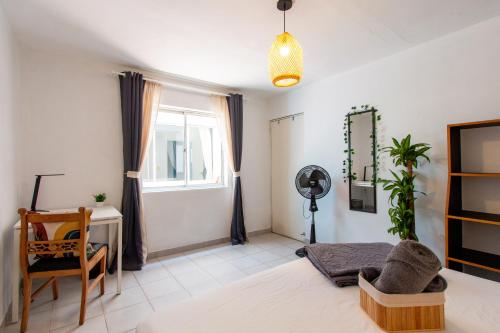 CoNomad House - Coliving & Coworking, Medellín (photo 3)