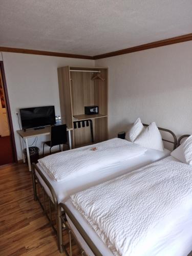 Hotel Alpha Thun - image 2