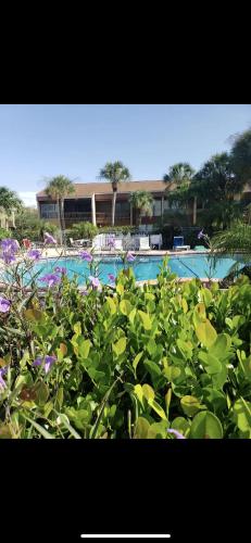 Condo 3bed 2bath 10 min to the Siesta Beach in Sarasota, USA